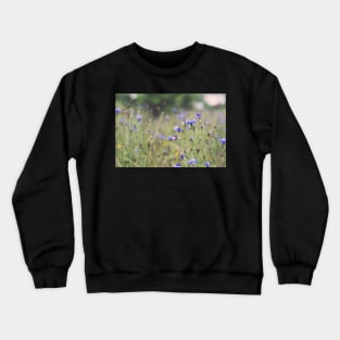 Cornflowers Crewneck Sweatshirt